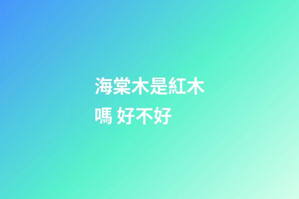 海棠木是紅木嗎 好不好